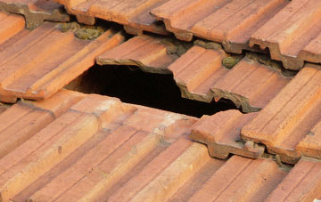 roof repair Porthill
